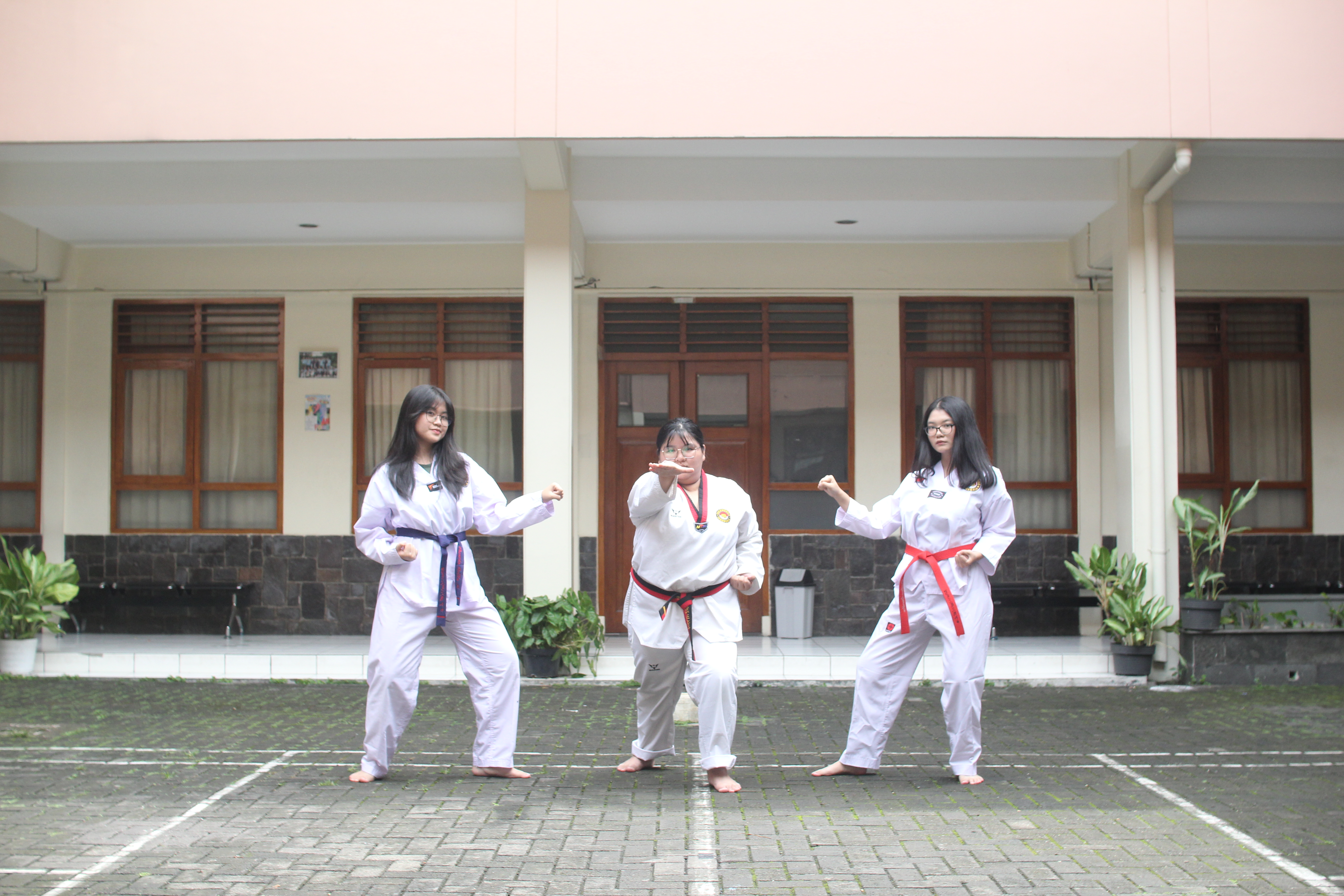 Taekwondo