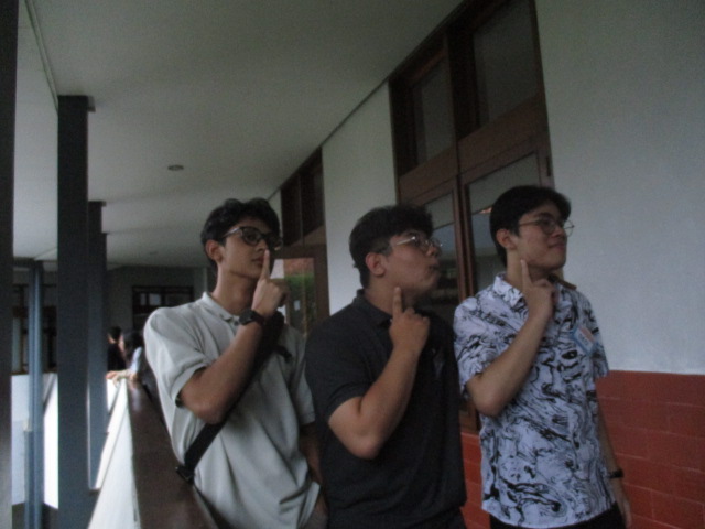 Trio Mewing