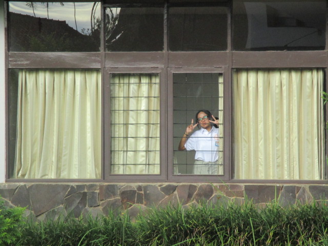 Ocha